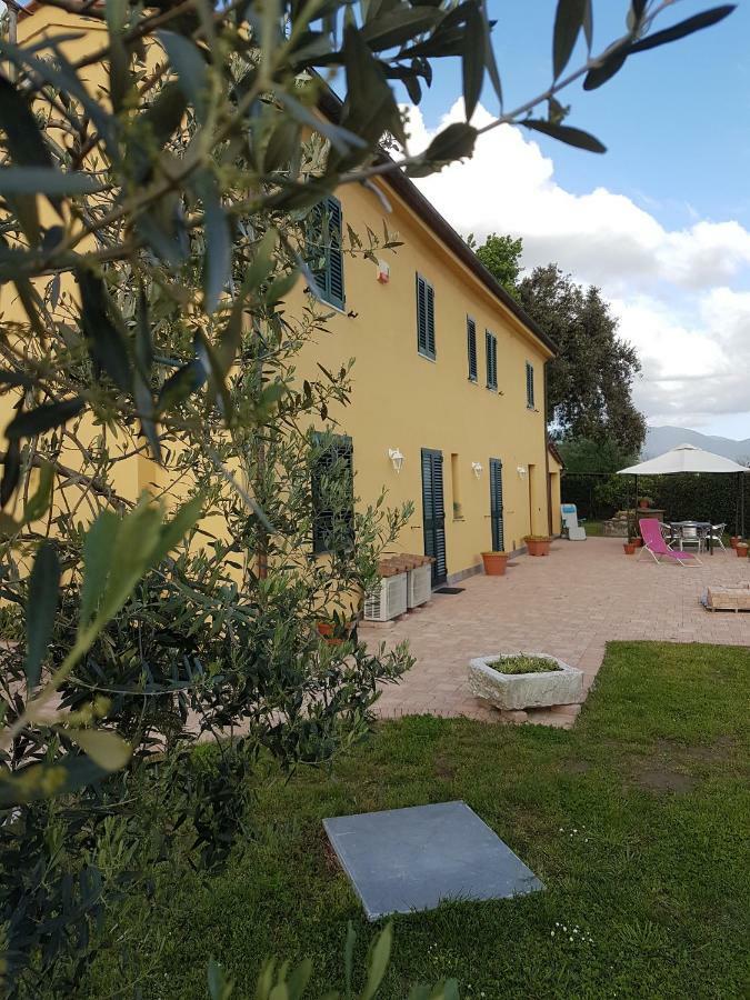 Ferienwohnung Podere Gabry Arena Metato Exterior foto